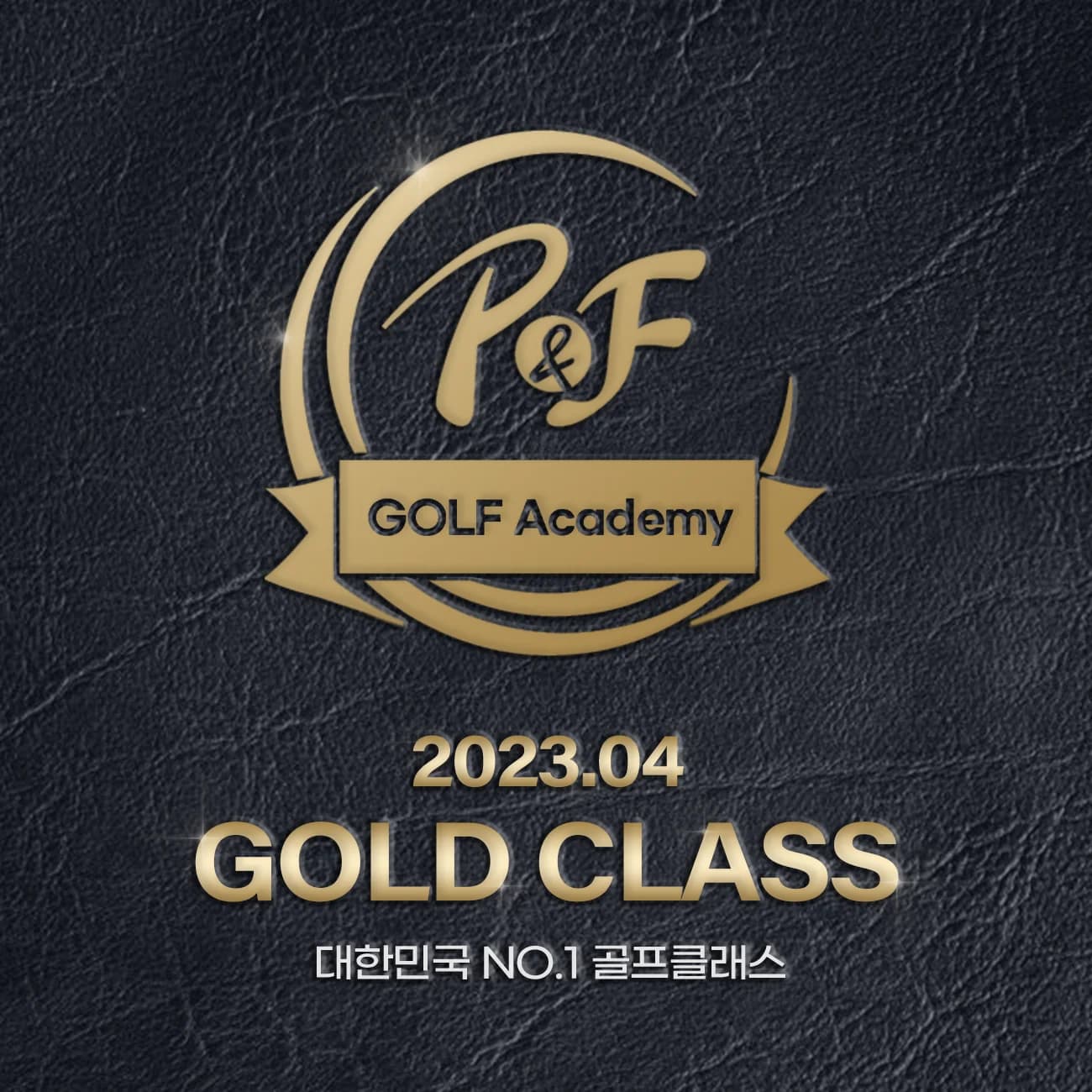 VIP골프 골드클래스